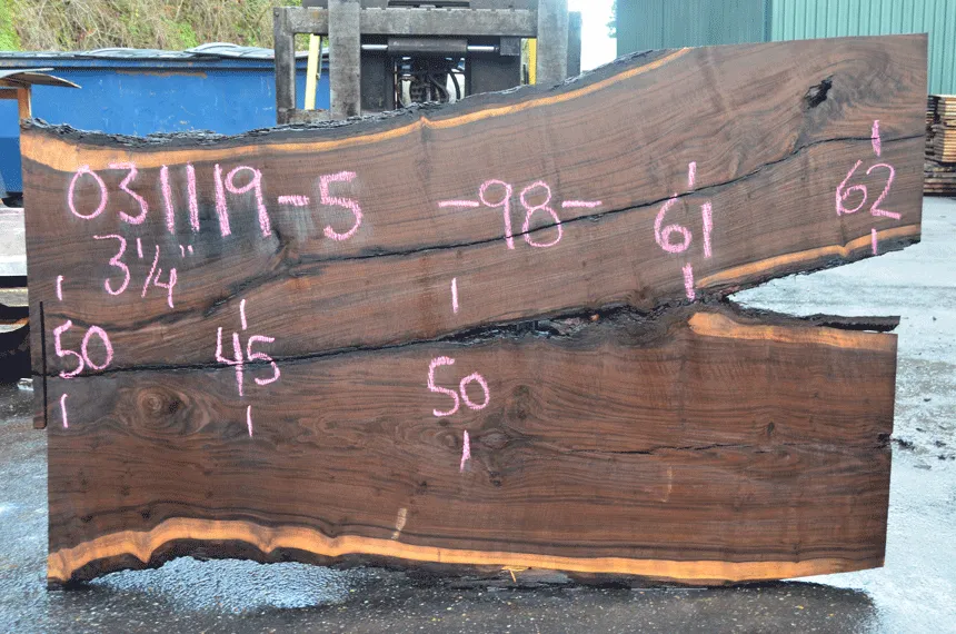 031119-05 Oregon Black Walnut Slab