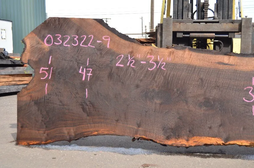 Oregon Black Walnut Slab 032322-09