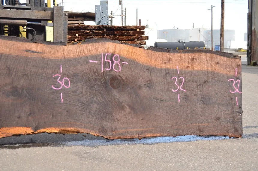 Oregon Black Walnut Slab 032322-09