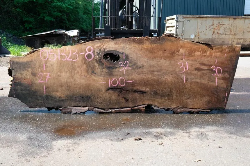 Oregon Black Walnut Slab 051323-08