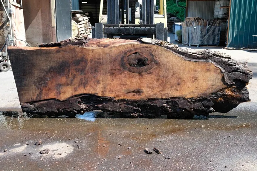 Oregon Black Walnut Slab 051323-08