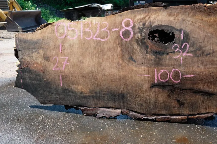 Oregon Black Walnut Slab 051323-08