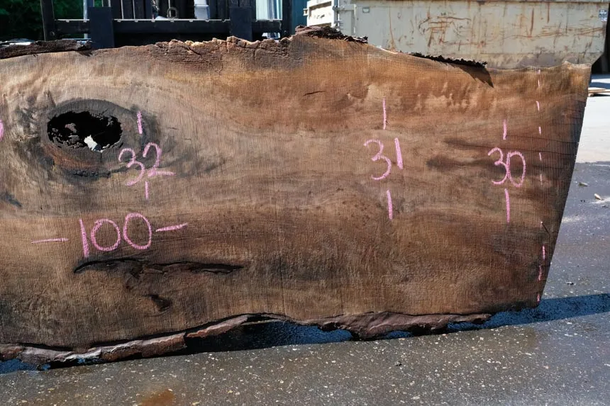 Oregon Black Walnut Slab 051323-08