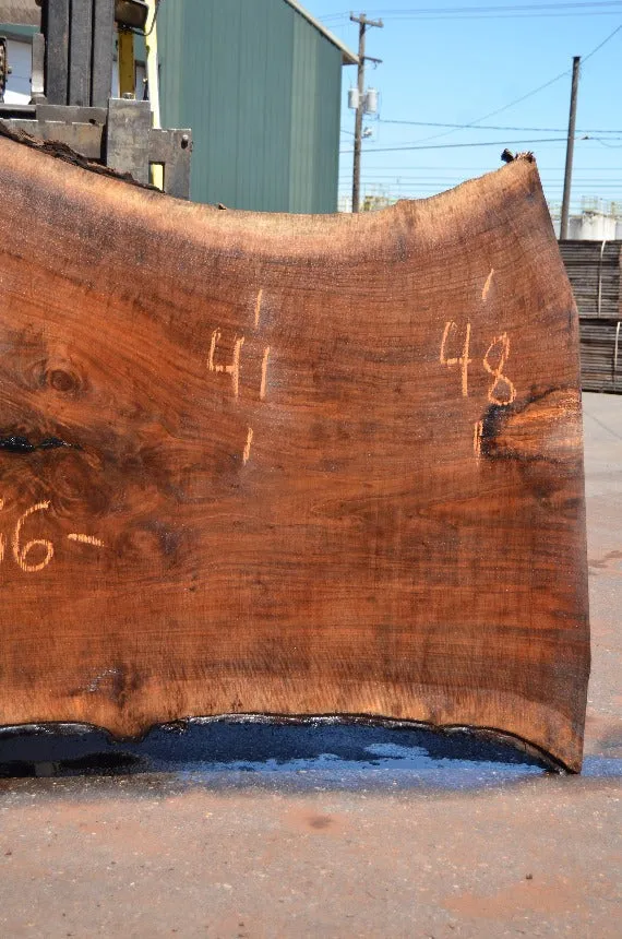 Oregon Black Walnut Slab 062122-03