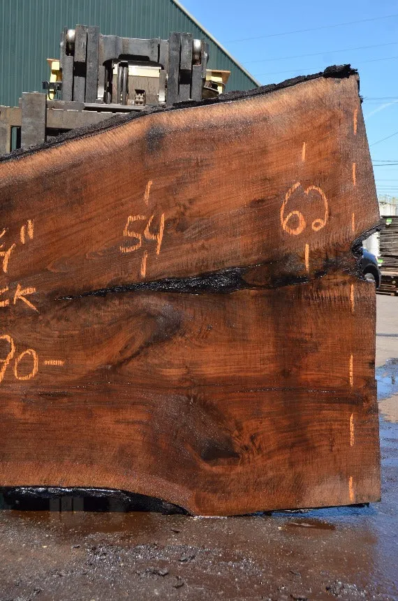 Oregon Black Walnut Slab 062122-04