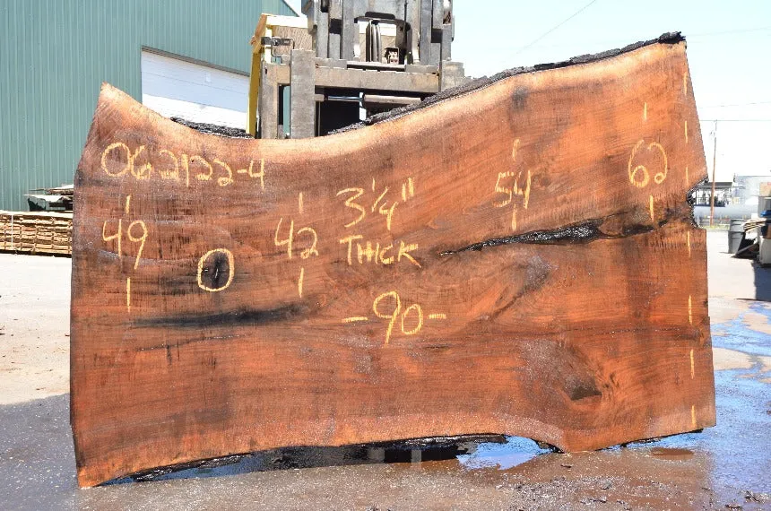 Oregon Black Walnut Slab 062122-04