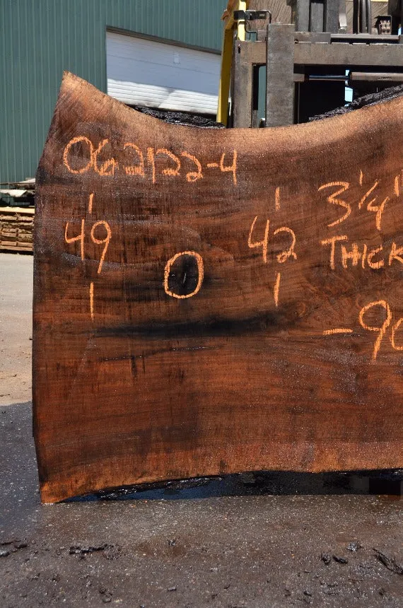 Oregon Black Walnut Slab 062122-04