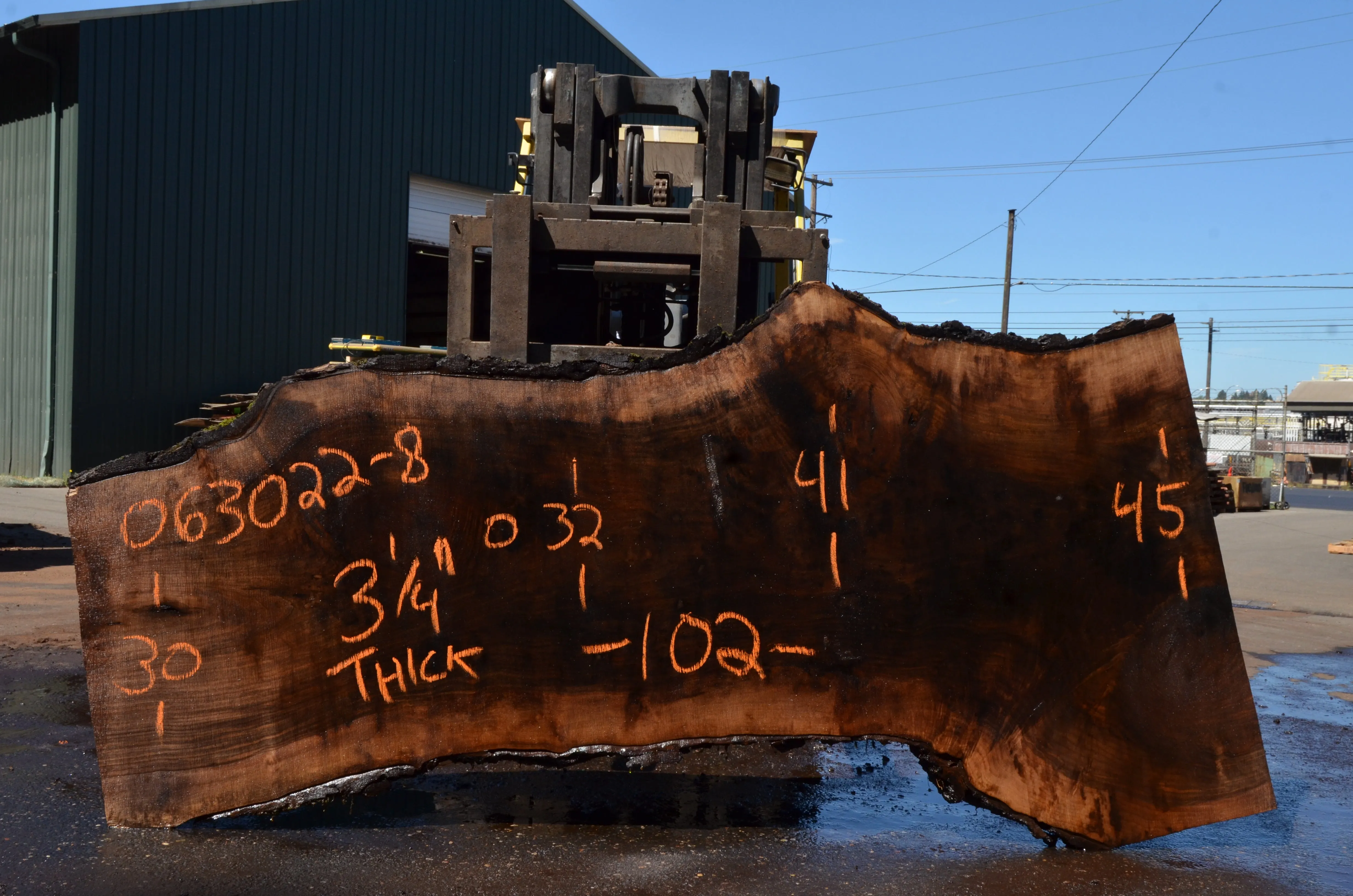 Oregon Black Walnut Slab 063022-08