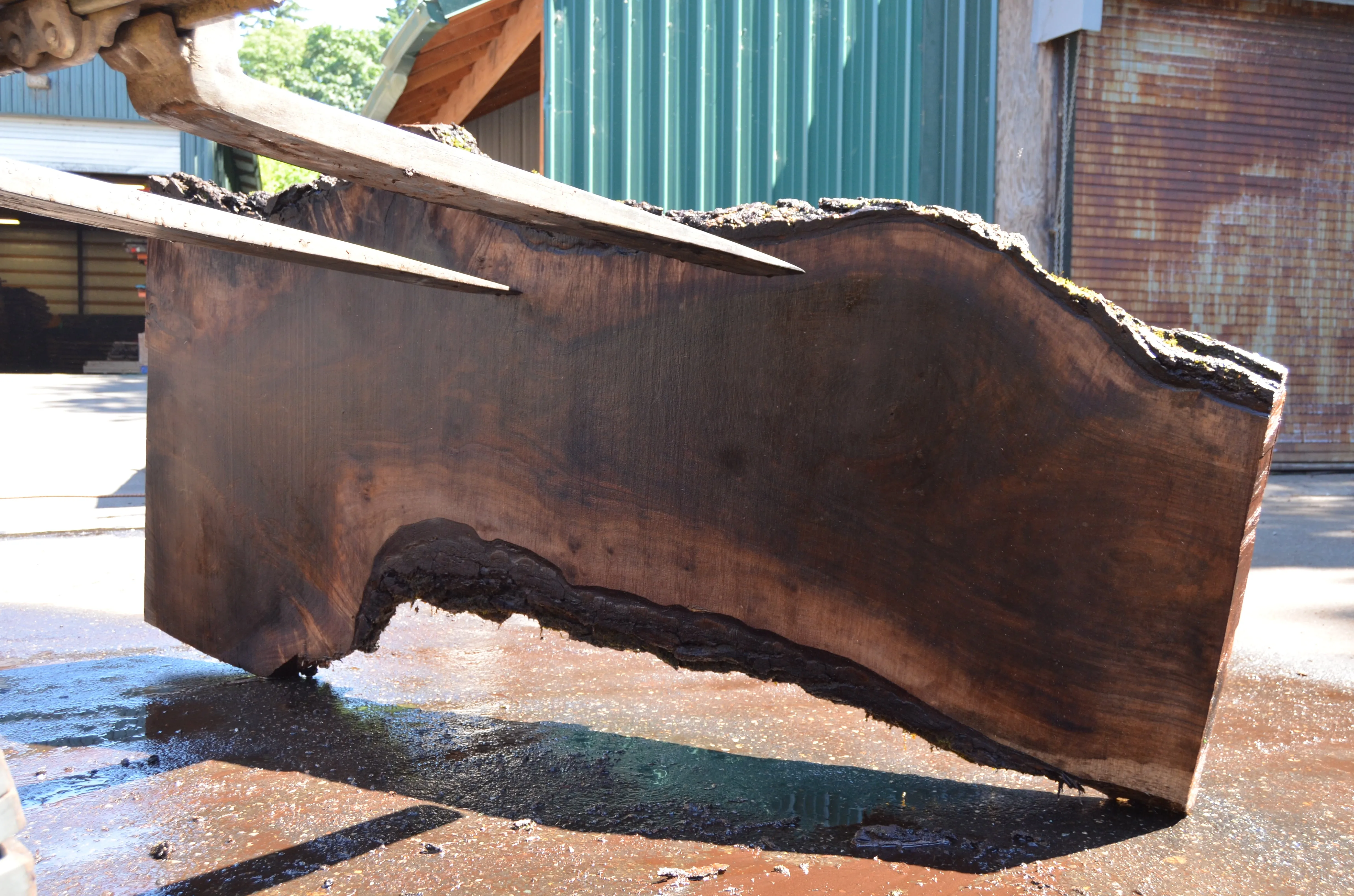 Oregon Black Walnut Slab 063022-08